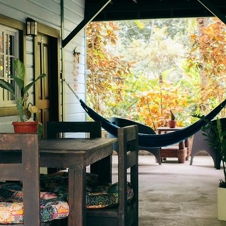 Bed and Breakfast Casa De Mono Bocas Big Creek Esterno foto