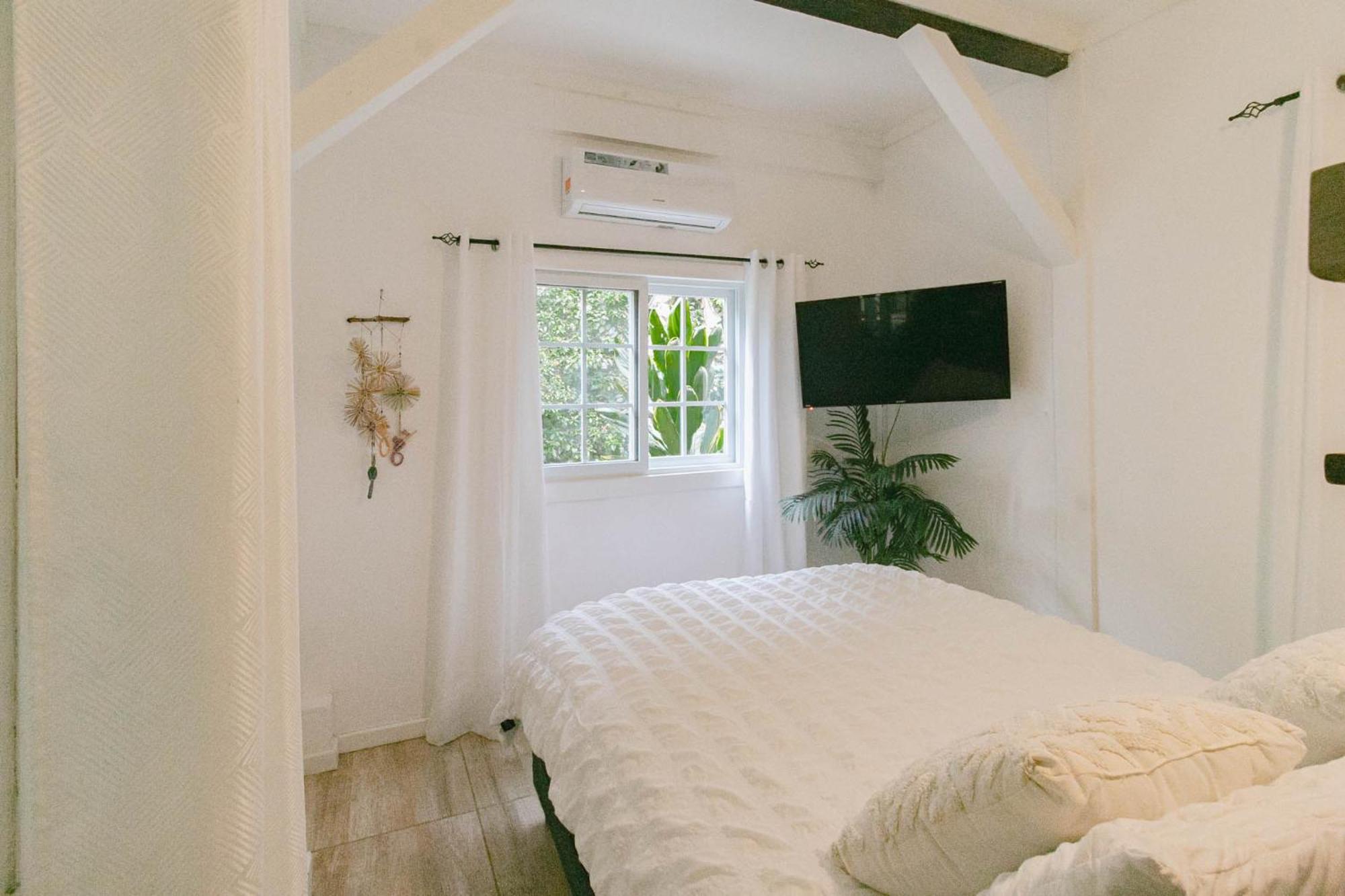Bed and Breakfast Casa De Mono Bocas Big Creek Esterno foto