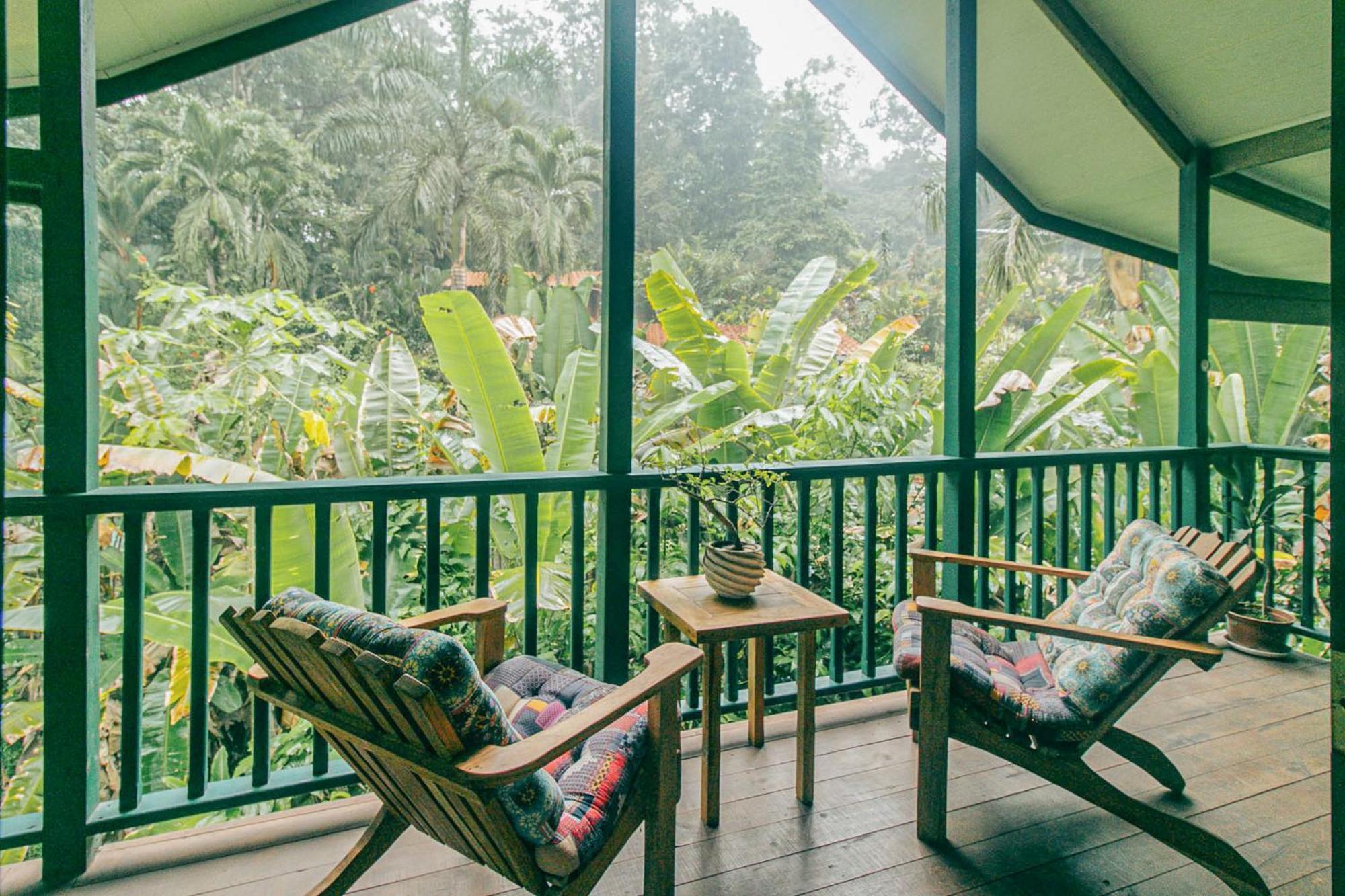 Bed and Breakfast Casa De Mono Bocas Big Creek Esterno foto