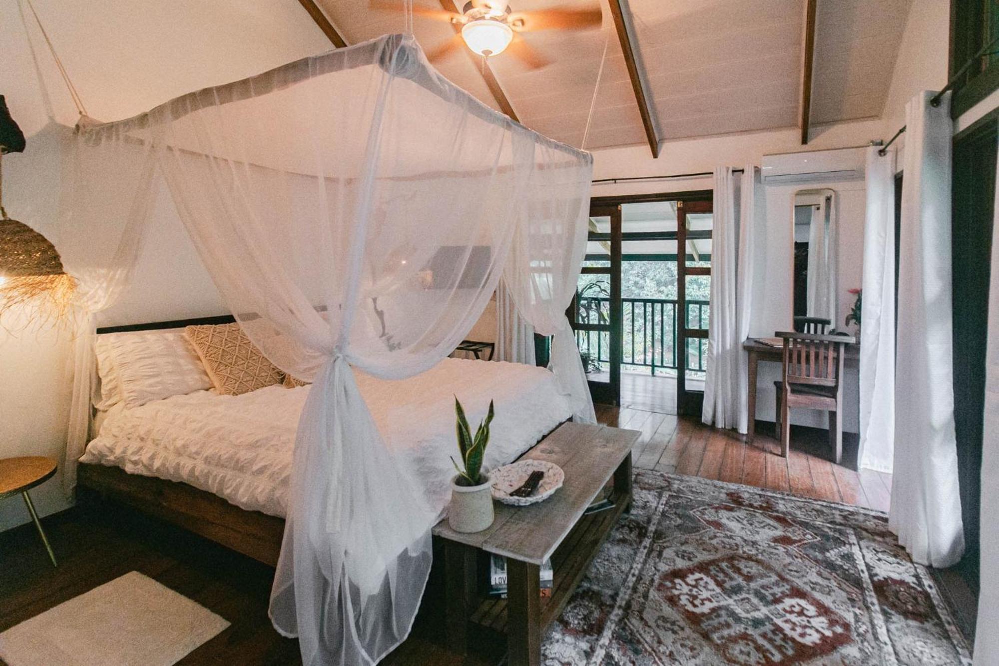 Bed and Breakfast Casa De Mono Bocas Big Creek Camera foto