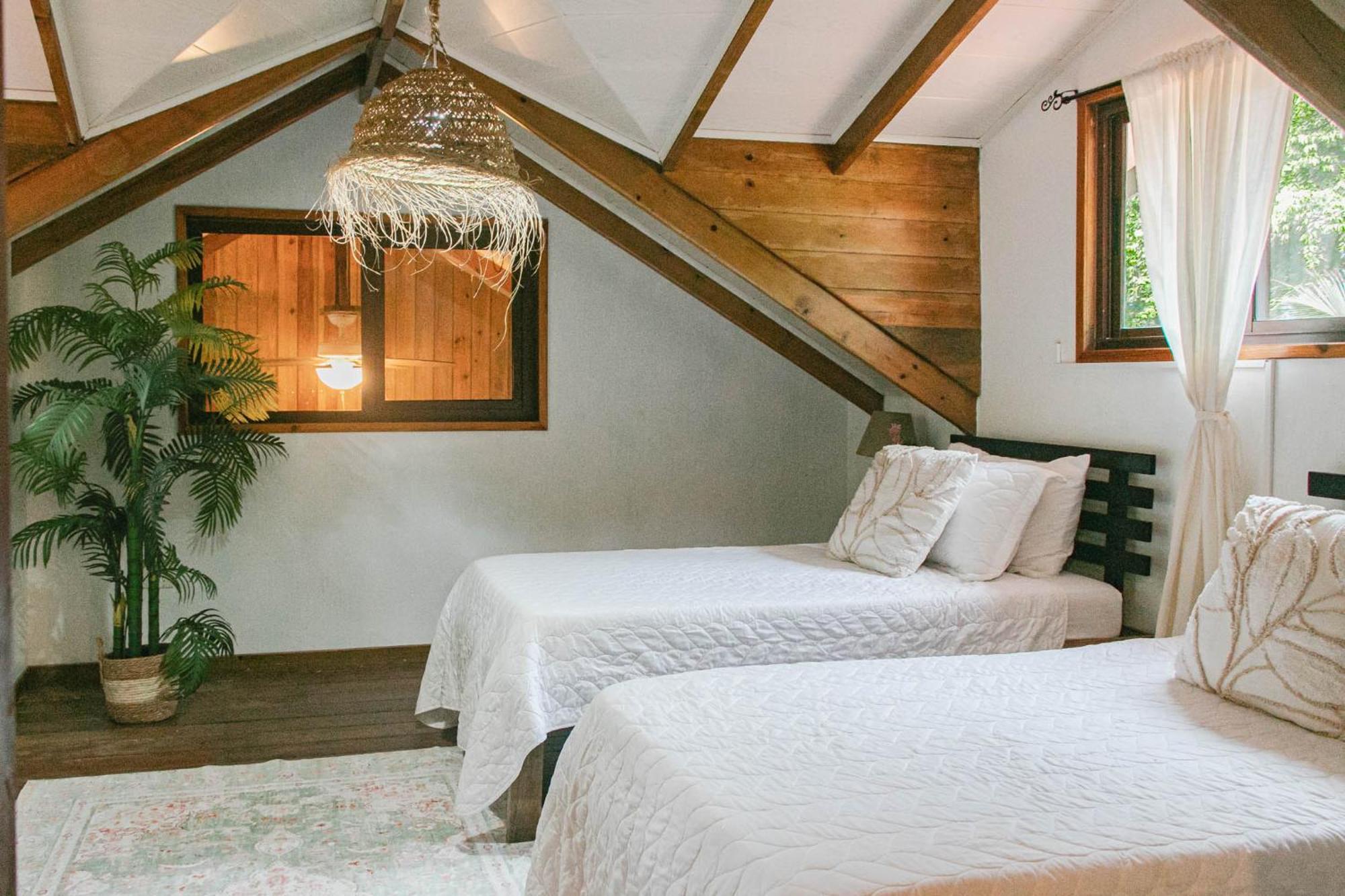 Bed and Breakfast Casa De Mono Bocas Big Creek Esterno foto