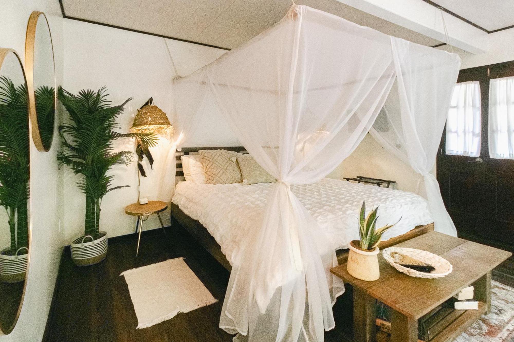 Bed and Breakfast Casa De Mono Bocas Big Creek Esterno foto