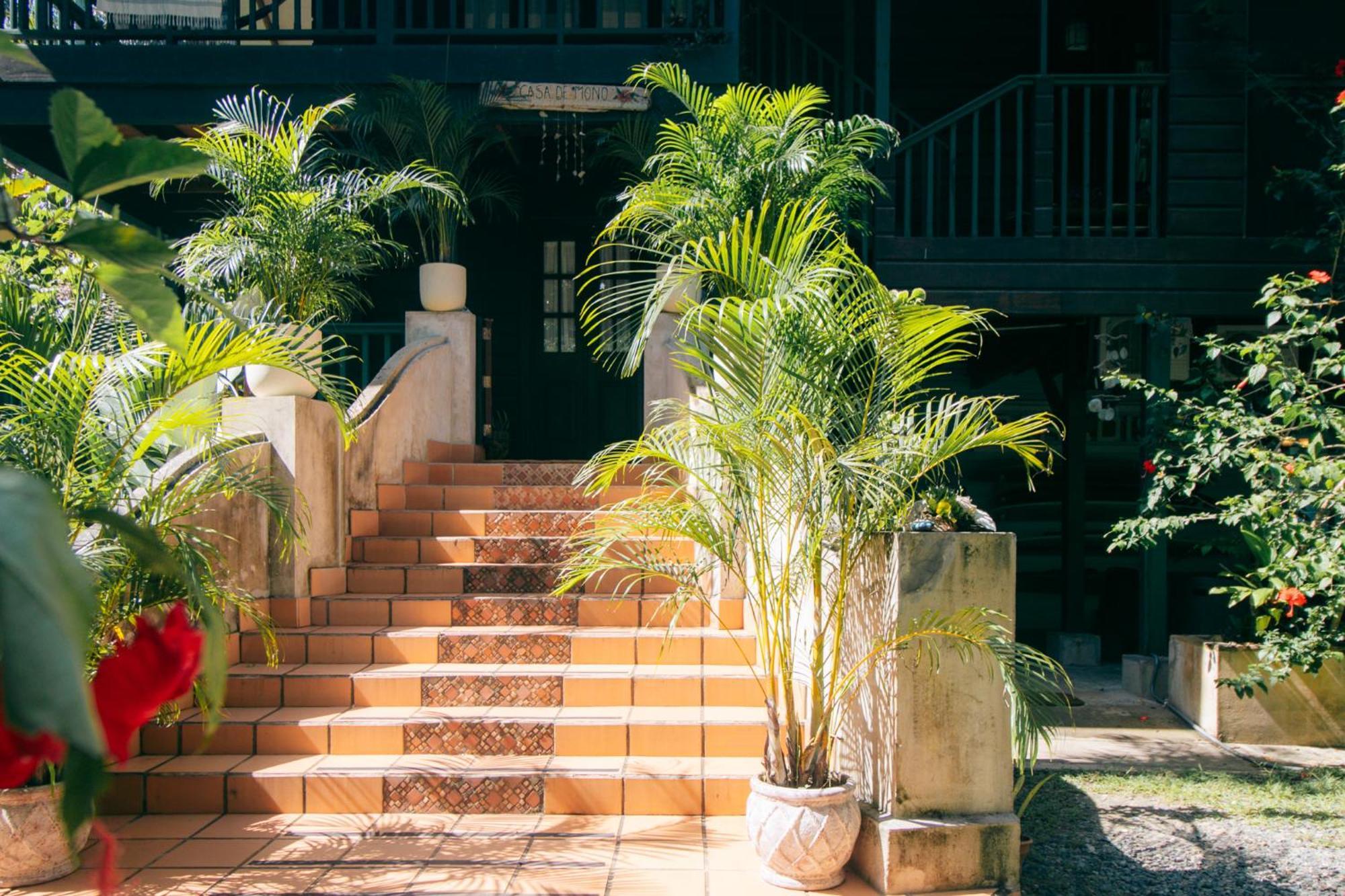 Bed and Breakfast Casa De Mono Bocas Big Creek Esterno foto