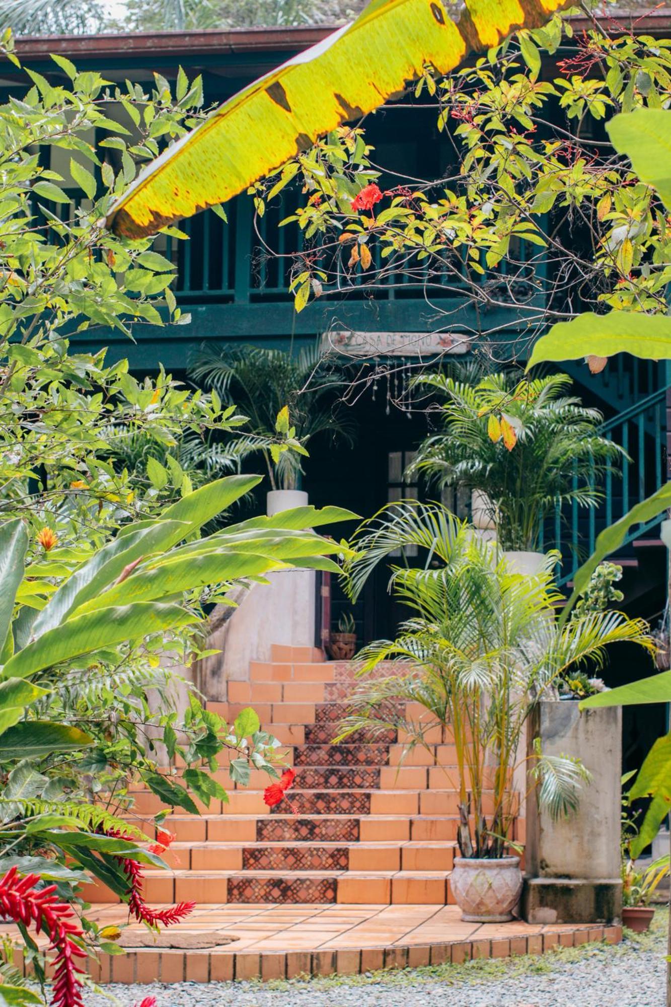 Bed and Breakfast Casa De Mono Bocas Big Creek Esterno foto