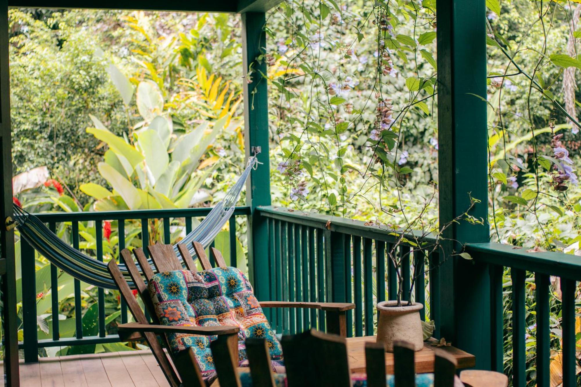 Bed and Breakfast Casa De Mono Bocas Big Creek Esterno foto