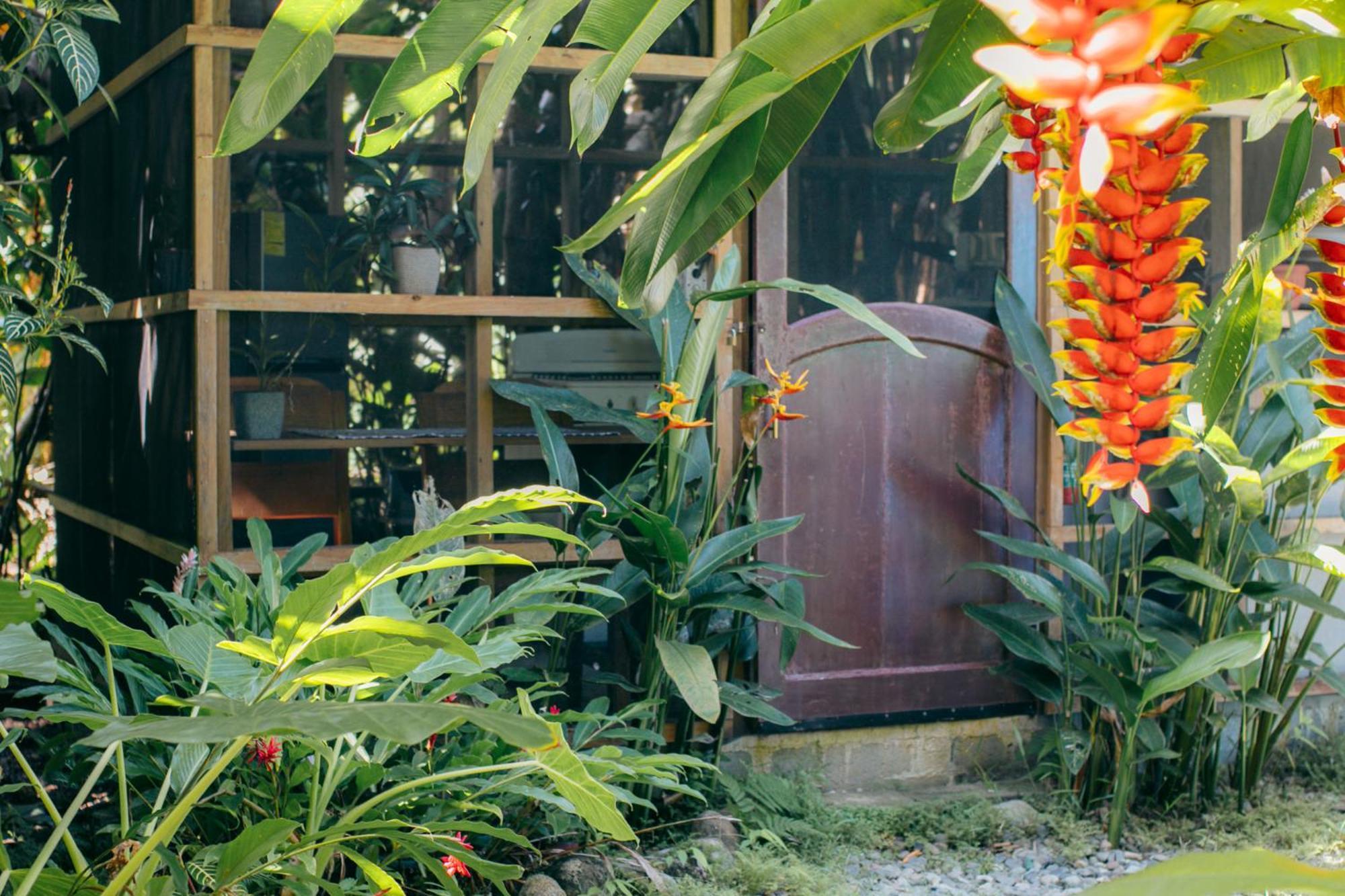 Bed and Breakfast Casa De Mono Bocas Big Creek Esterno foto
